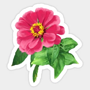 Zinnias - Sticker